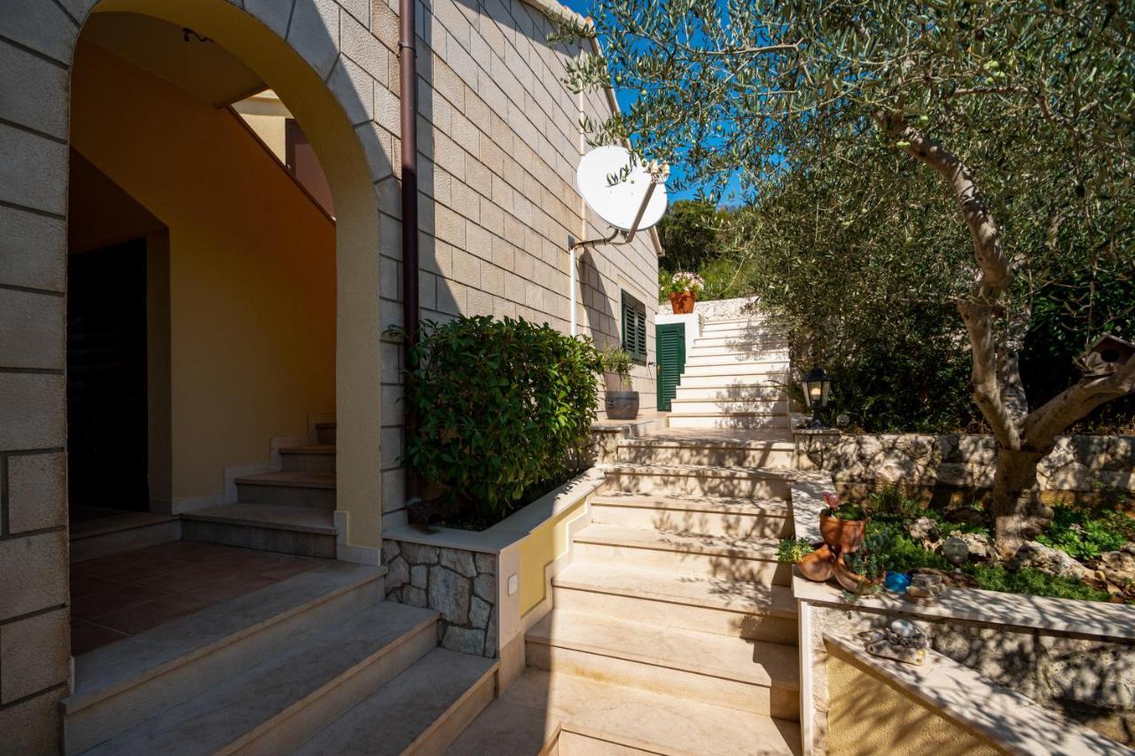 Villa Ana Zrnovo Exterior photo